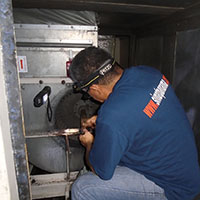 Cambio de rodamientos y chumaceras.