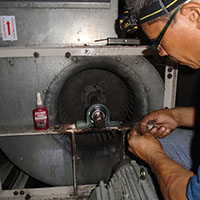 Cambio de rodamientos y chumaceras.