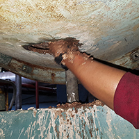 Purga de fondo y extracción de sólidos